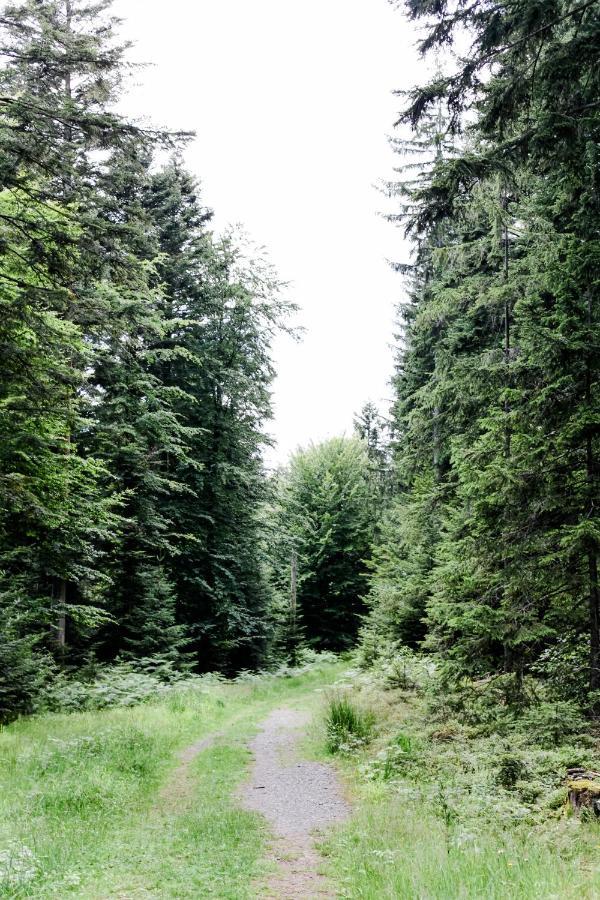 4-Zimmer-Ferienwohnung Waldbluemle Dobel Exterior foto